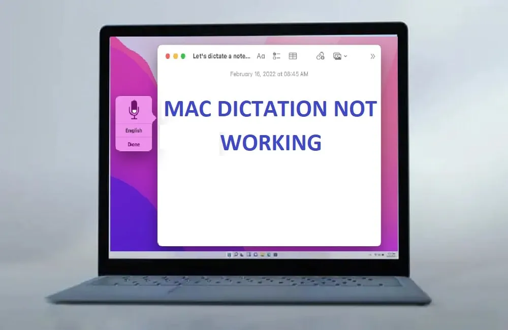 Mac dictation not working