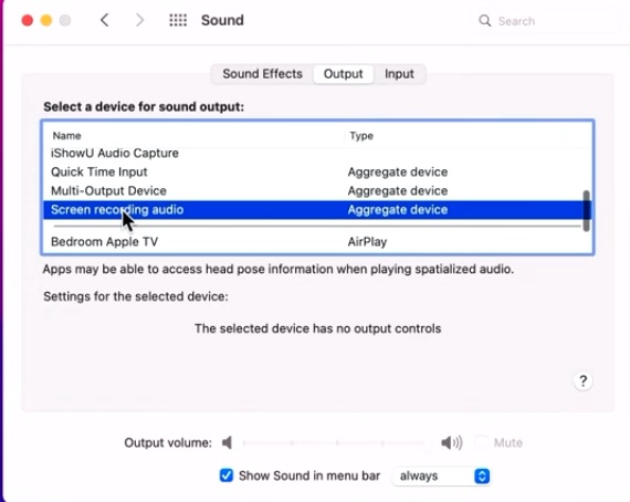 Screen recording audio