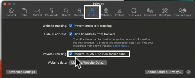 safari privacy Touch ID settings